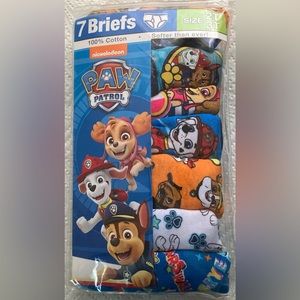 Nickelodeon Boys Briefs Size 2T 3 T